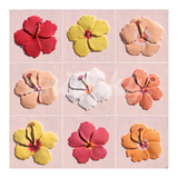‘Hibiscus Season’ - Print