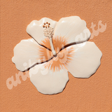 Hibiscus Dark Background