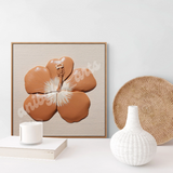 Hibiscus Light Background